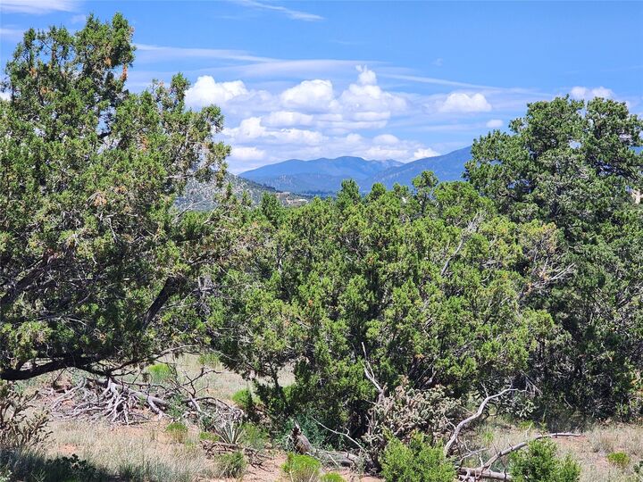 Property Photo: 4 Goathead Ct NM 87508