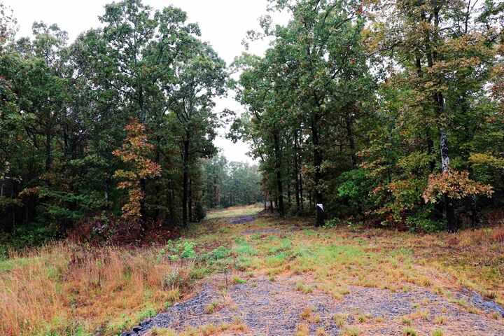 Property Photo:  00 Calvary Road  AR 72032