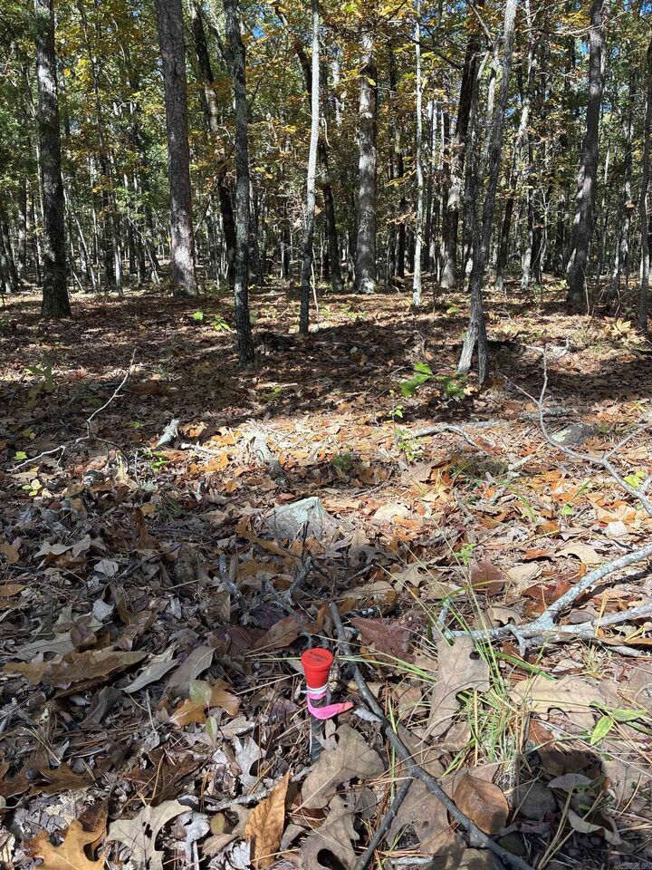 Property Photo: 00 Dunlop Road AR 72088