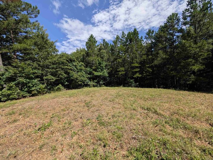 Property Photo:  Unk Fs Road 521  AR 71953 