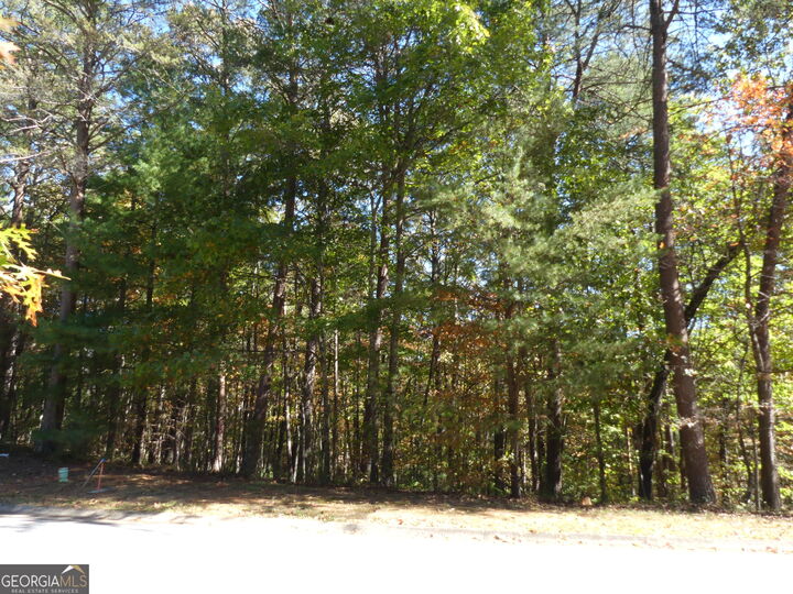 Property Photo:  0 Zeppelin Strasse Lot 78  GA 30545 