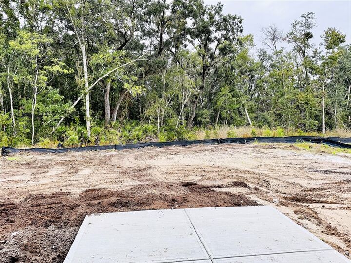 Property Photo: 115 Tidal Marsh Way GA 31558