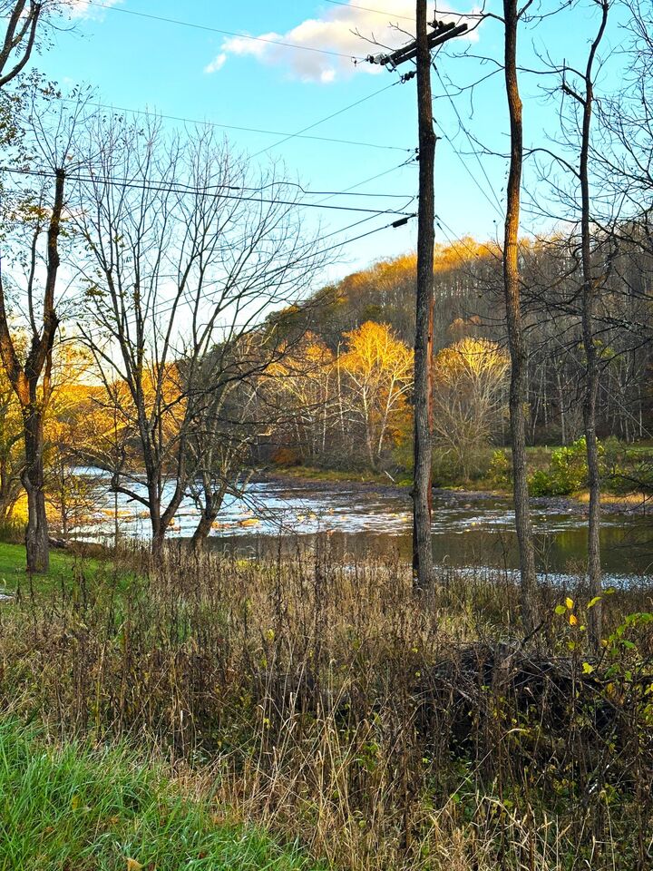 Property Photo:  Front St  WV 24966