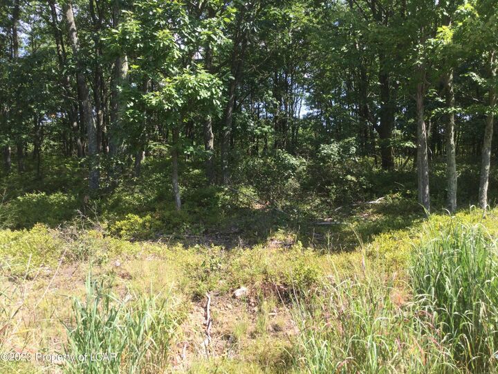 Property Photo: Mv Lot 521 Appalachian Way PA 18202