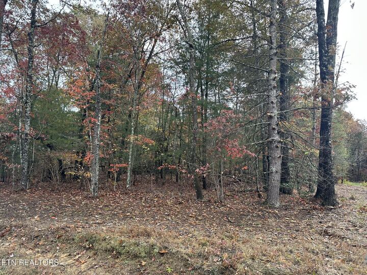 Property Photo:  10 Yorkshire Terrace  TN 38558 