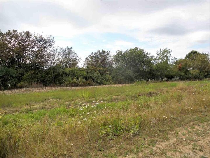 Property Photo:  Parcel 3 Windmill Lane  MI 48444 