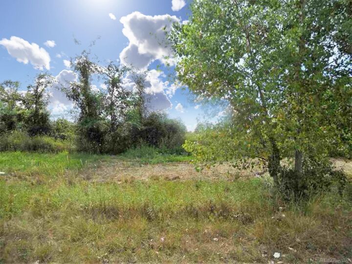 Property Photo: Parcel 3 Windmill Lane MI 48444