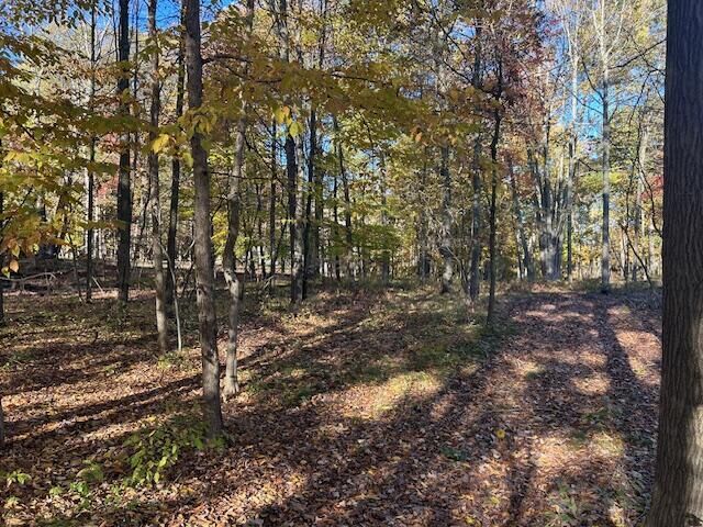 Property Photo:  11082 Rambling Way  MI 49346 