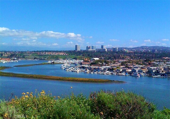 Property Photo:  259 Mayflower Drive  CA 92660 