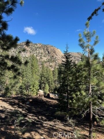 Property Photo:  0 Piute Dr  CA 93529 