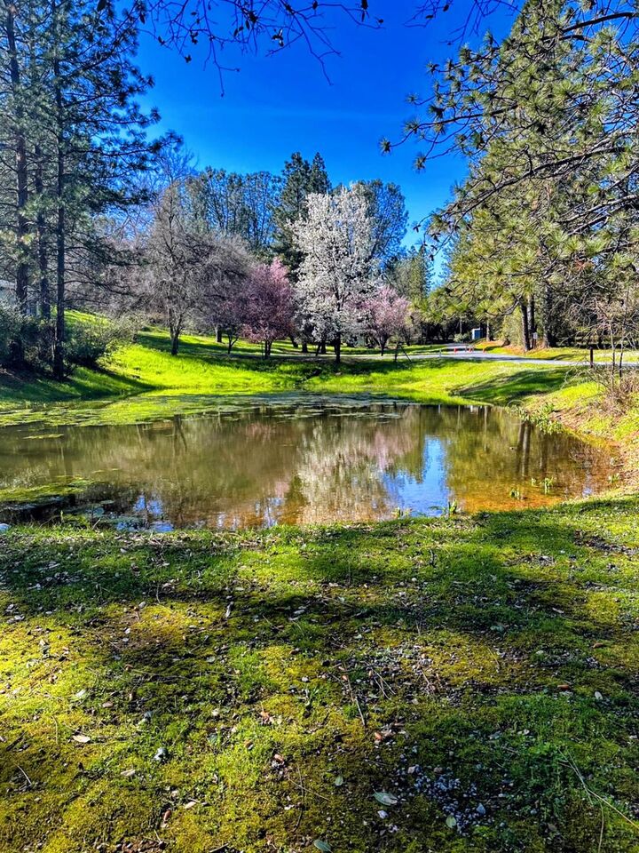 Property Photo:  9461 State Highway 193 27  CA 95667 