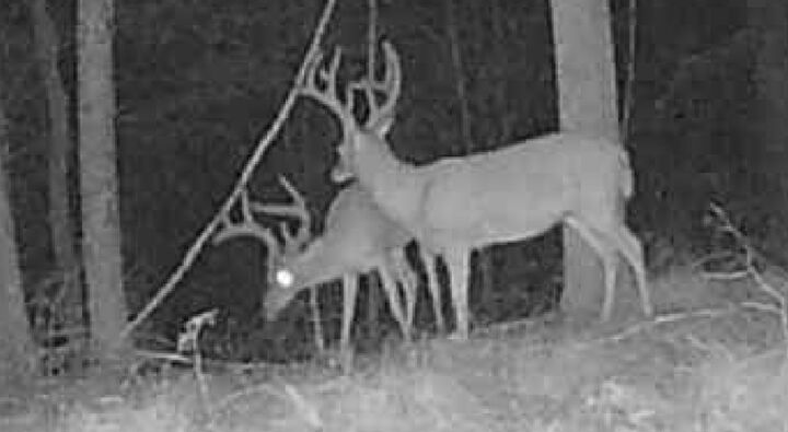 0 Downing Hollow Road  Waynesboro TN 38485 photo