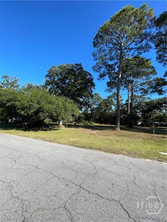 Property Photo:  106 Lewis Avenue  GA 31328 