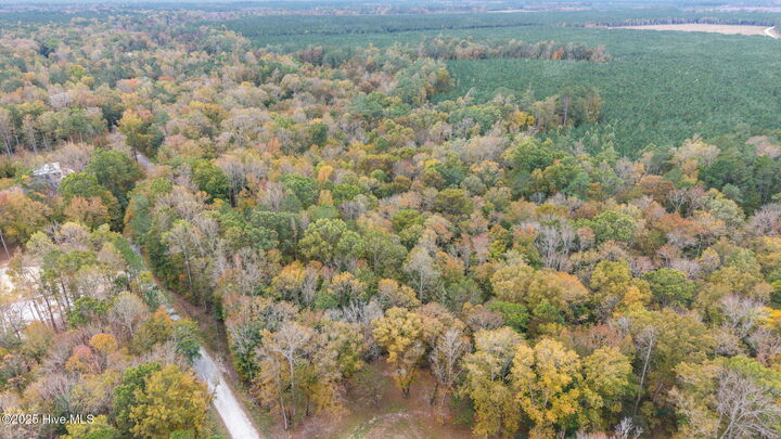 Property Photo:  164 Forest Glen Lane  NC 28573 