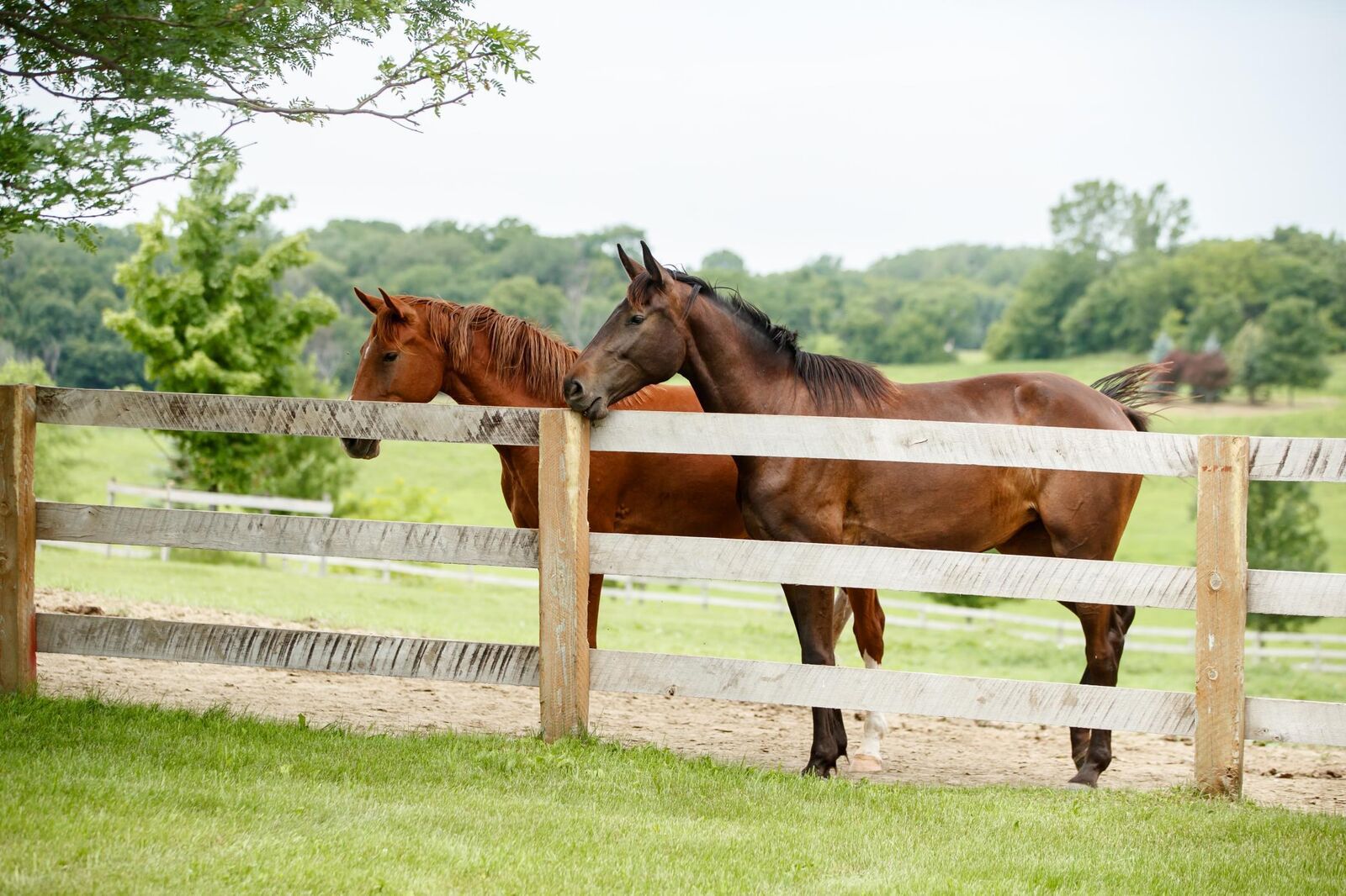 Property Photo:  9685 County Road 13 SE  MN 55328 