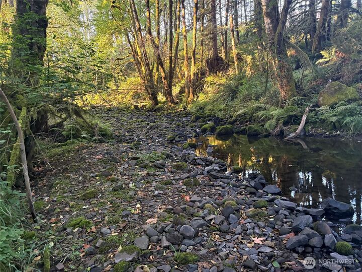 Property Photo:  0 Nka  Frank Smith Road  WA 98649