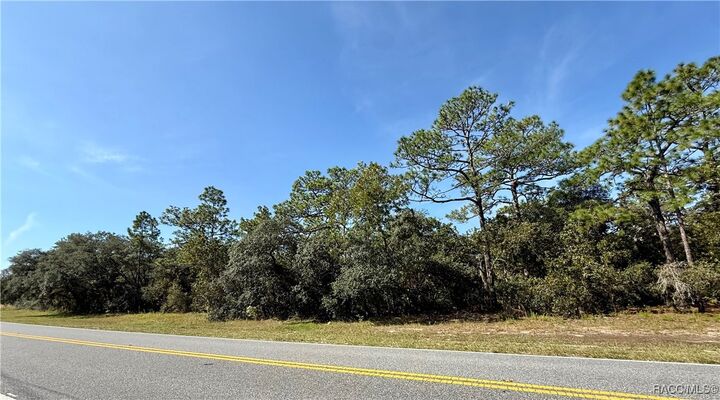 Property Photo:  4952 N Elkcam Boulevard  FL 34465 