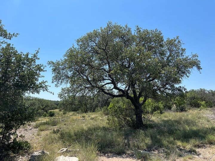 Property Photo:  4120 Majestic Oaks Dr  TX 76935