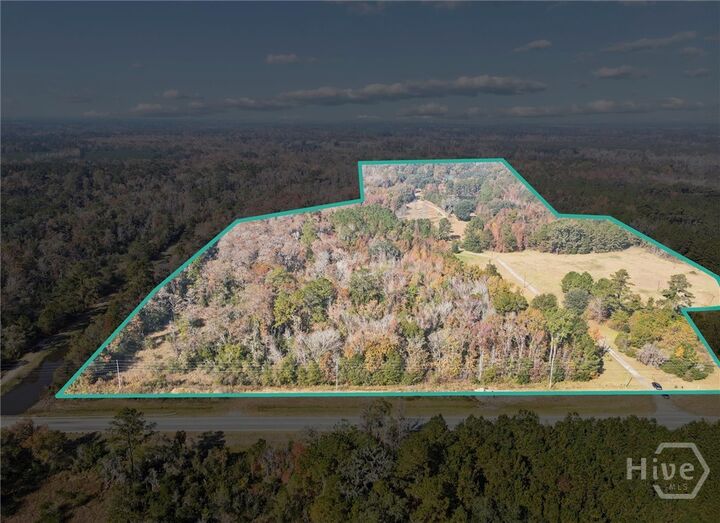 0 S Coastal Highway  Riceboro GA 31323 photo