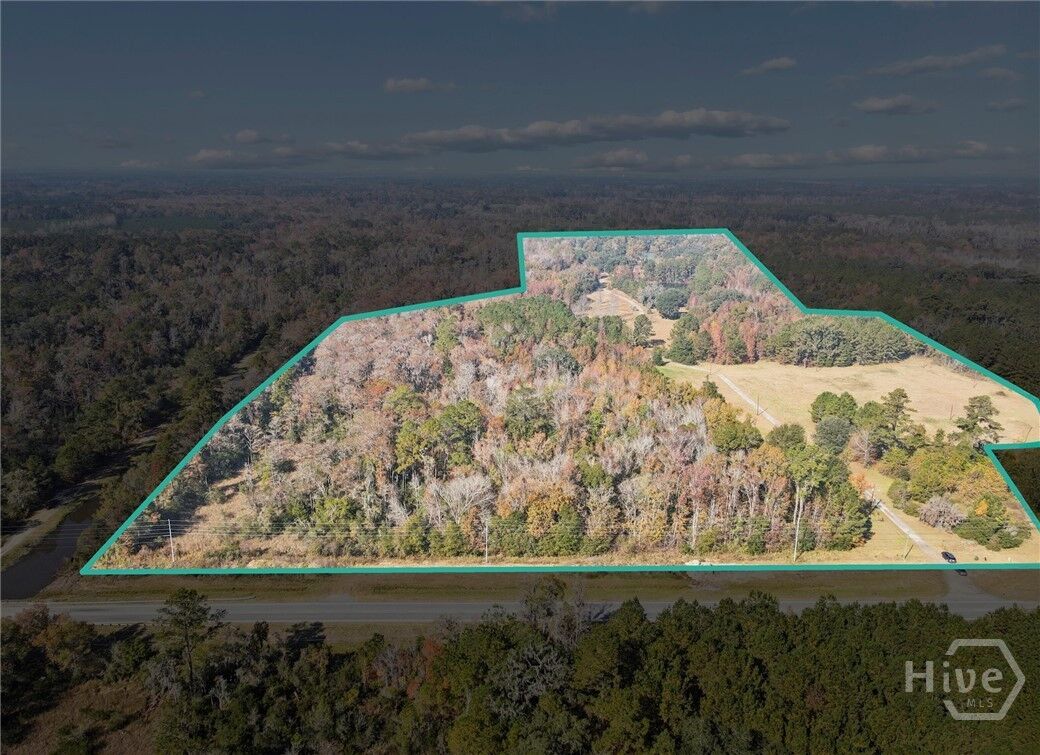 Property Photo:  0 S Coastal Highway  GA 31323 