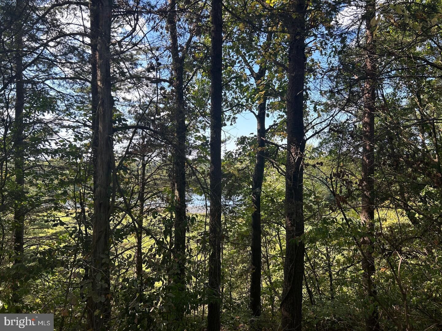 Property Photo: Parcel 14 Kipps Lane VA 22718