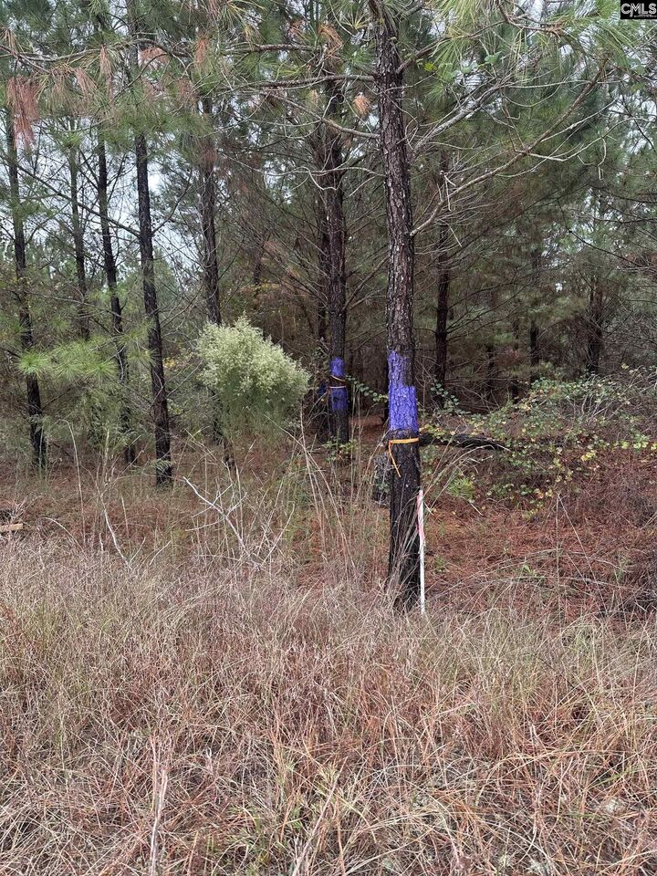 Property Photo:  0 Kelly Day  SC 29123