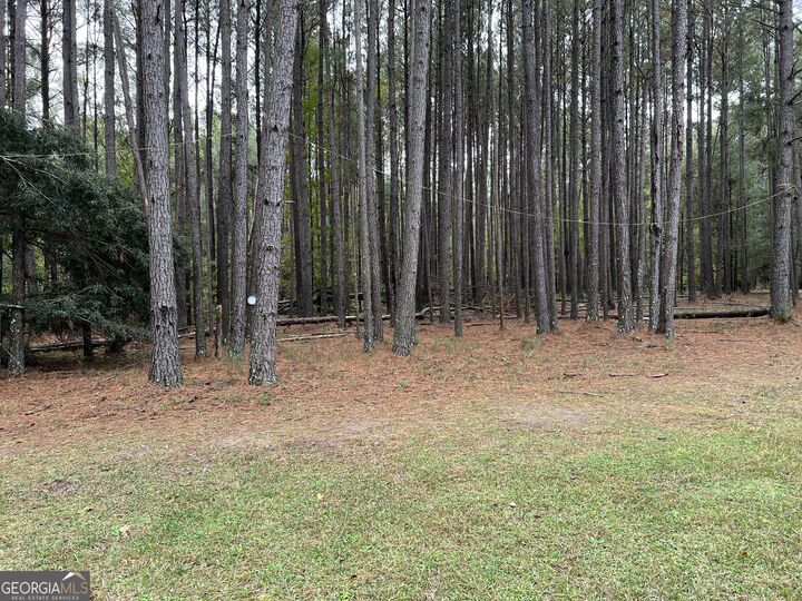 Property Photo:  10061 Macon Highway  GA 31045