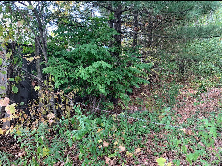 Property Photo:  E Rossel Lake Road  MI 49459 