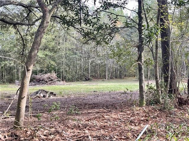 Property Photo: 37285 Dummyline Road LA 70452