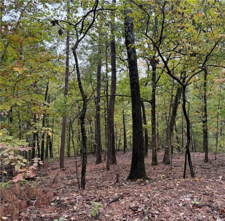 Potter Lane  Bella Vista AR 72715 photo