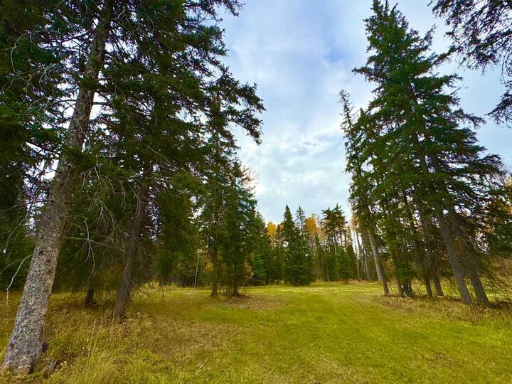 201 High Timber Place — photo 1
