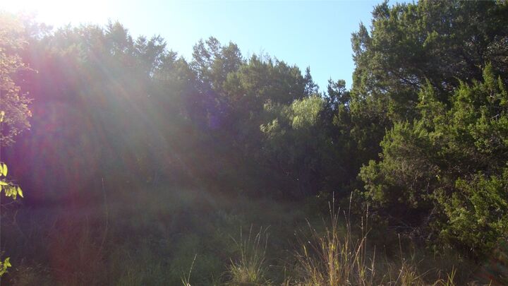 Property Photo:  11116 Travis Drive  TX 78645 