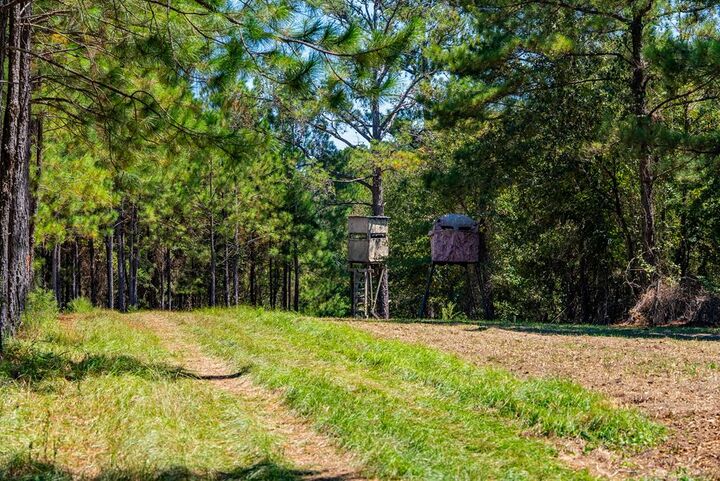 Property Photo:  1901 Joe Wells Road  GA 31803 