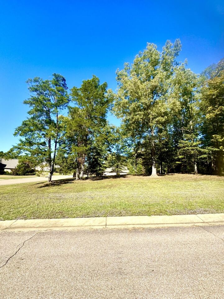 Property Photo:  Lot 331 Greenbriar St  MS 39759 