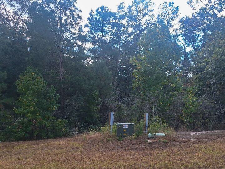 Property Photo:  137 Iron Horse Road  TX 77378 