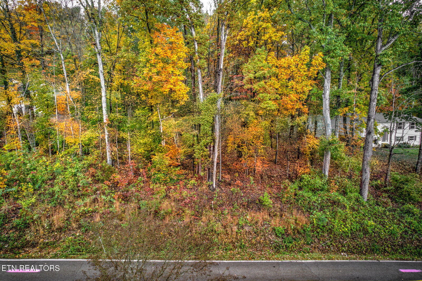 Property Photo:  0 Grove Drive  TN 37918 