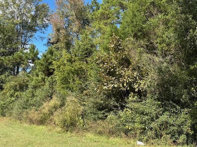 Property Photo:  Tbd County Road 4682  TX 75633 