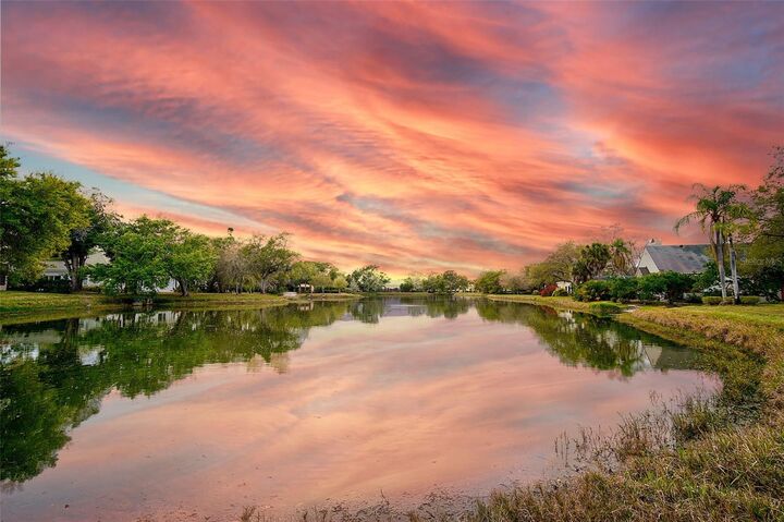 Property Photo:  325 Osprey Point Drive  FL 34229 