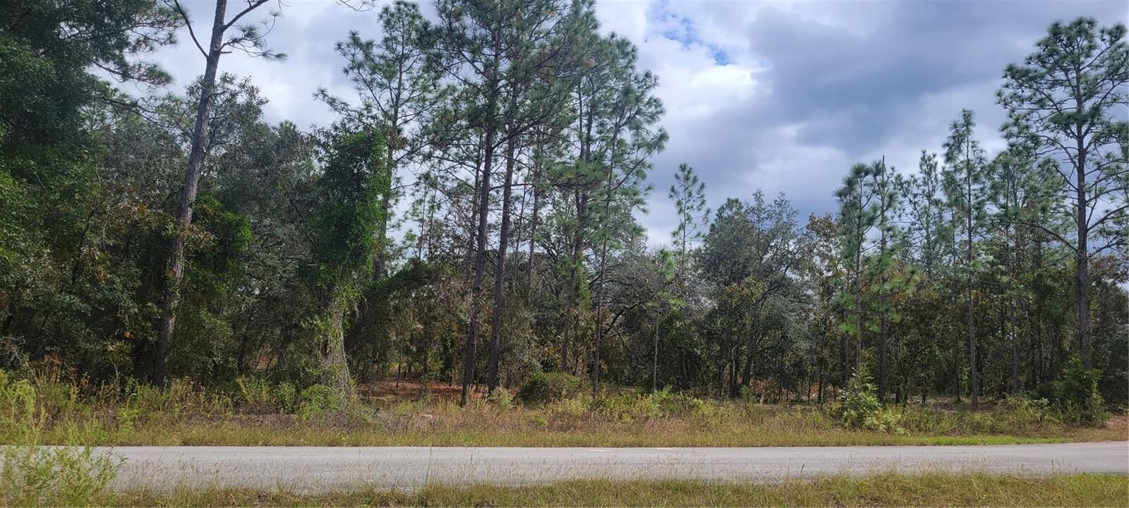 Property Photo: 0 SW Arrow Leaf Trail FL 34431