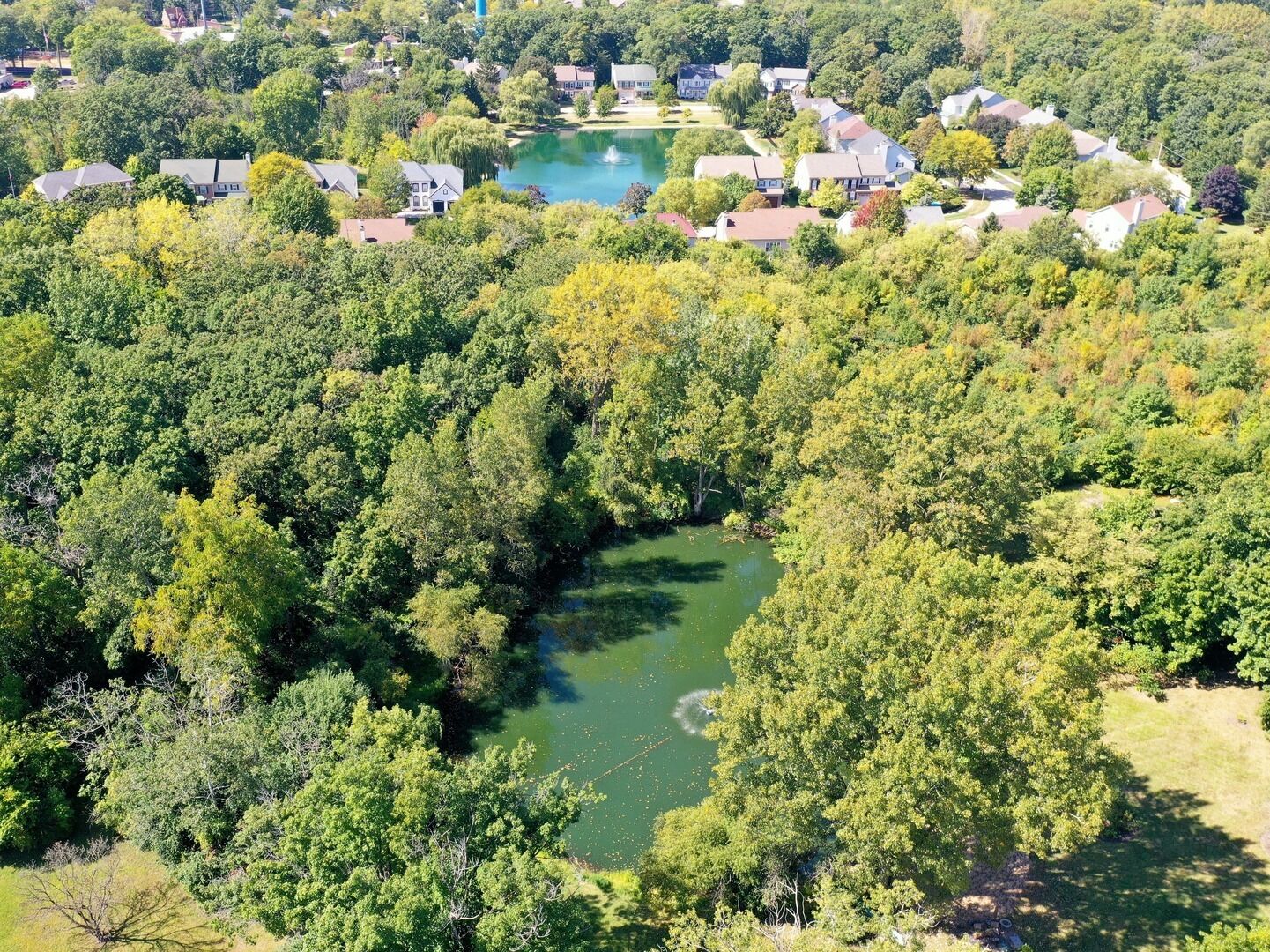 Property Photo:  18238 W Gages Lake Road  IL 60030