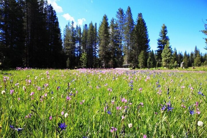 Property Photo: 10 Ac Beasore Road CA 93604