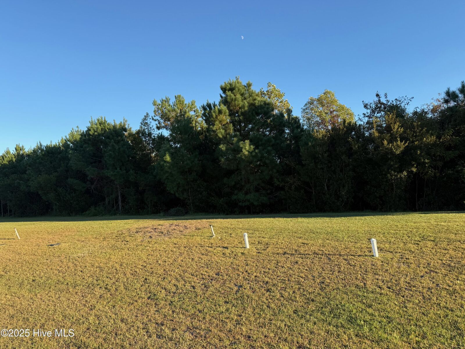 Property Photo:  157 Whispering Pine Lane  NC 28445 