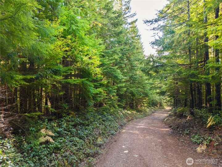 Property Photo: 1350 N Hilltop Loop Road WA 98548