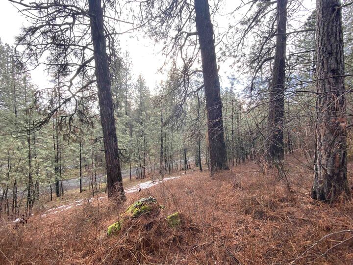 Property Photo:  104X S Azalea Dr  WA 99224 