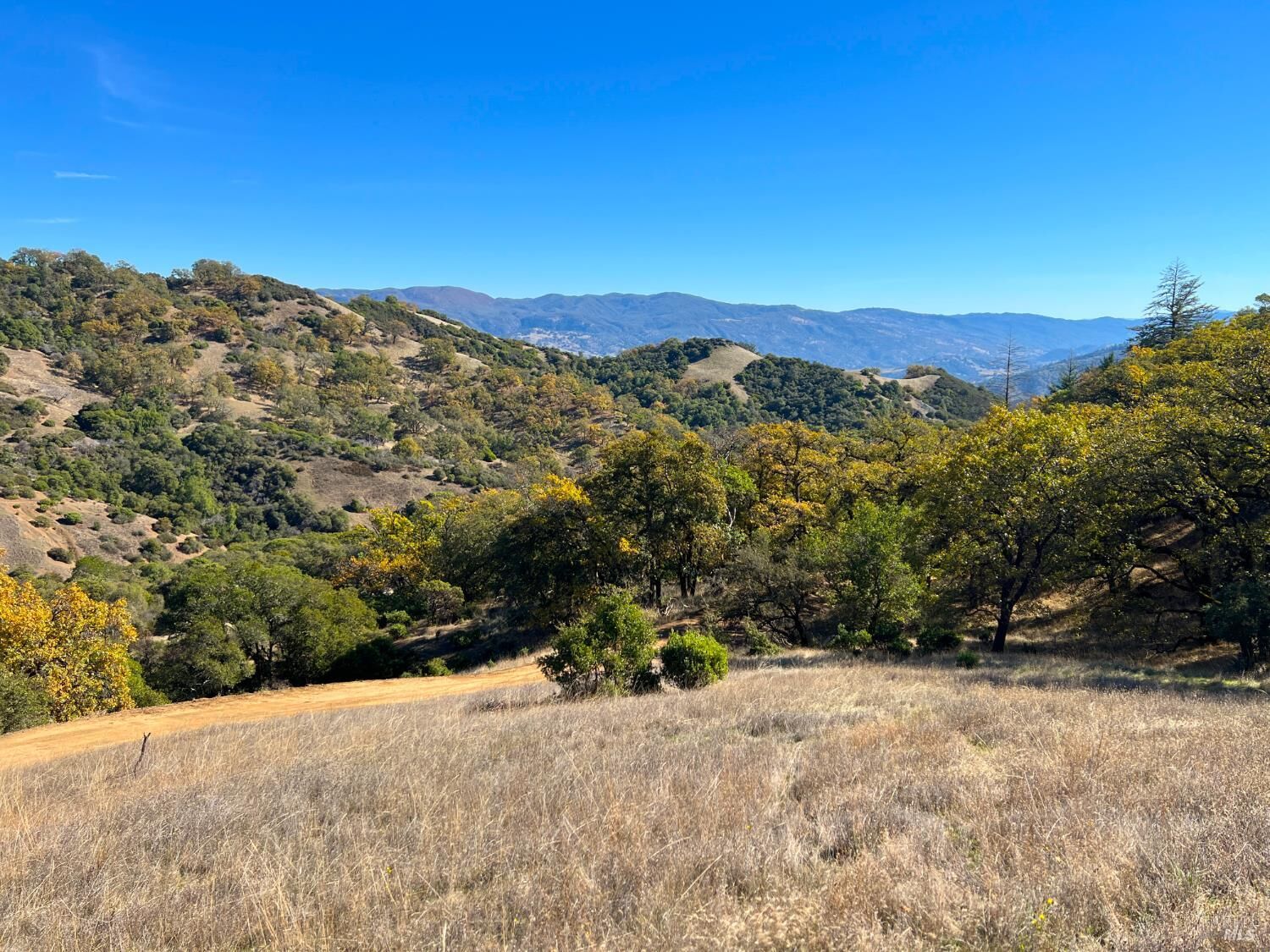 Property Photo:  5290 Butler Ranch Road  CA 95482 