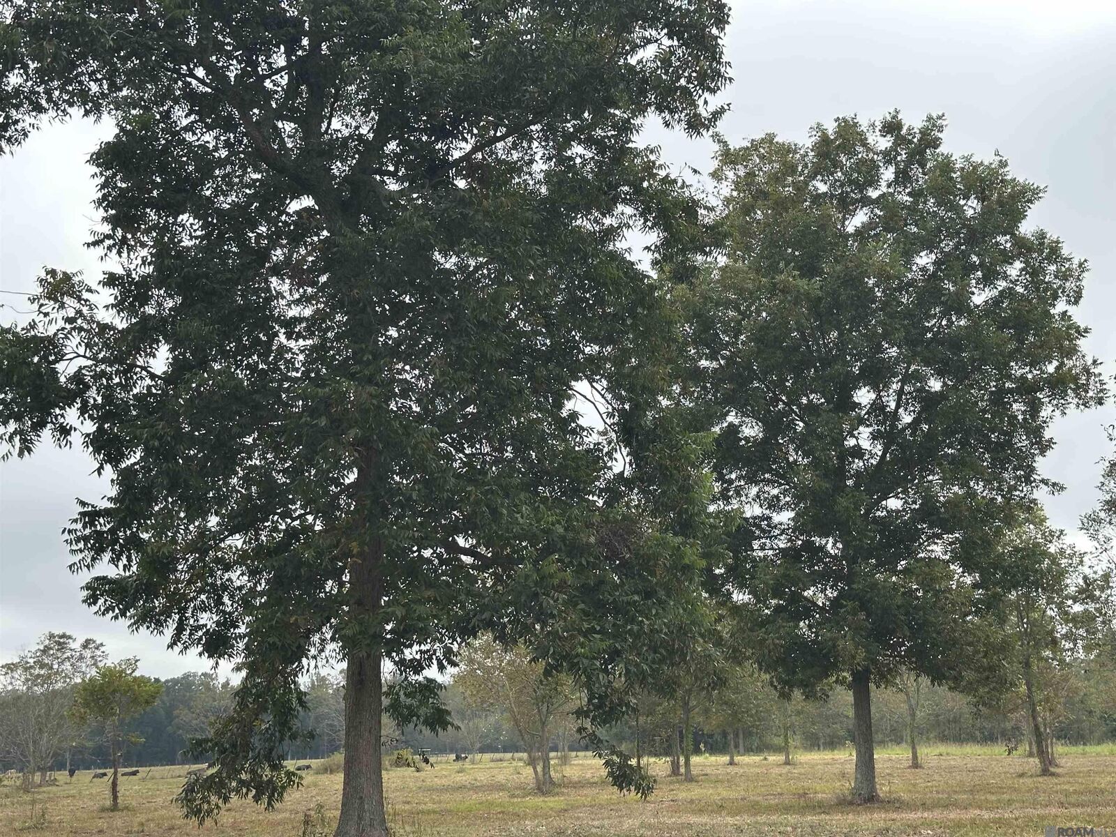 Property Photo: 8874 Elton St LA 70755