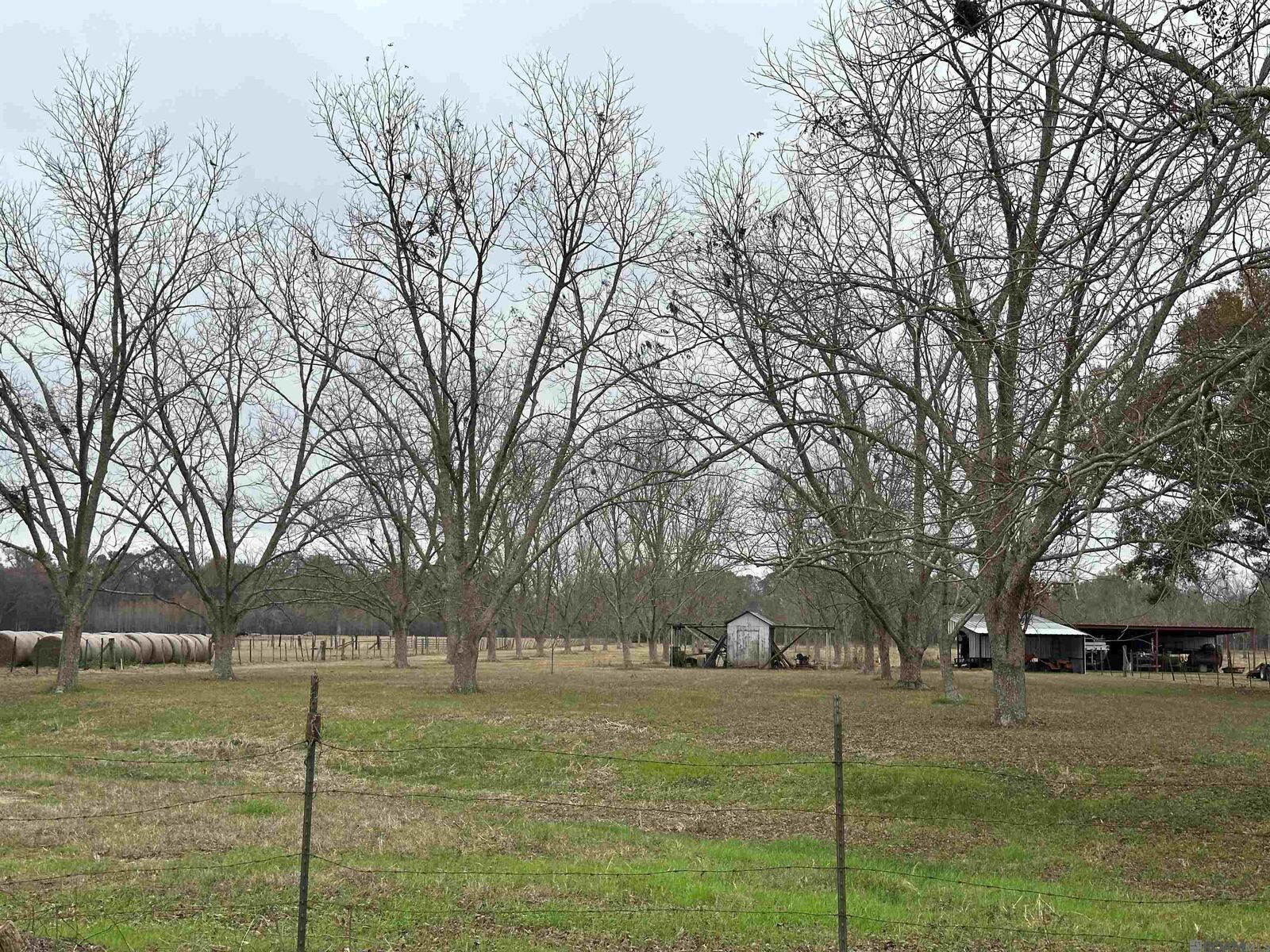 Property Photo:  8874 Elton St  LA 70755 