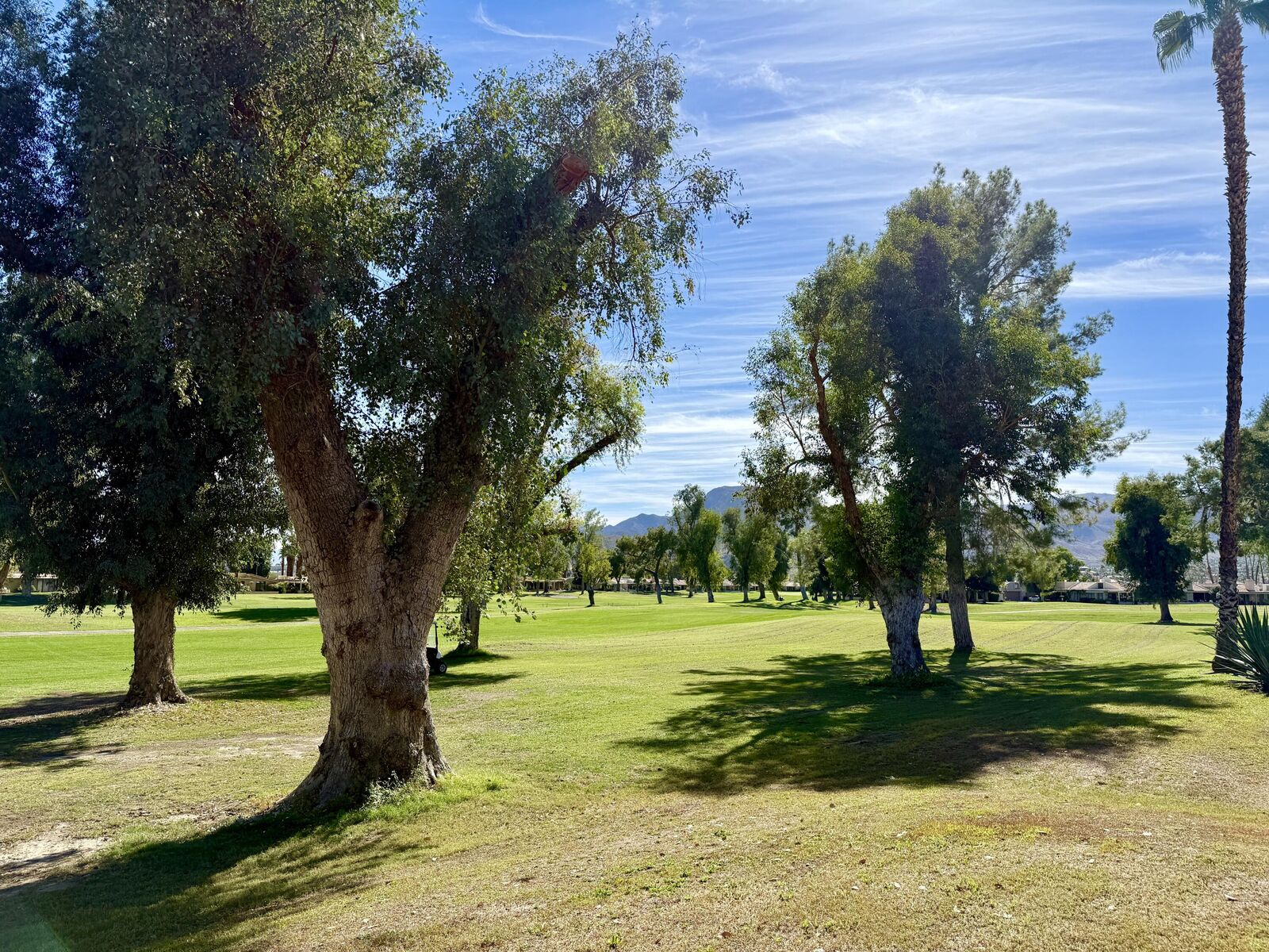 Property Photo:  35401 Calle Sonseca  CA 92234 