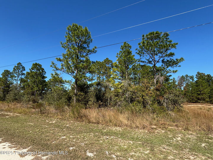 Property Photo:  Lot 16 Calypso Avenue  FL 34614 