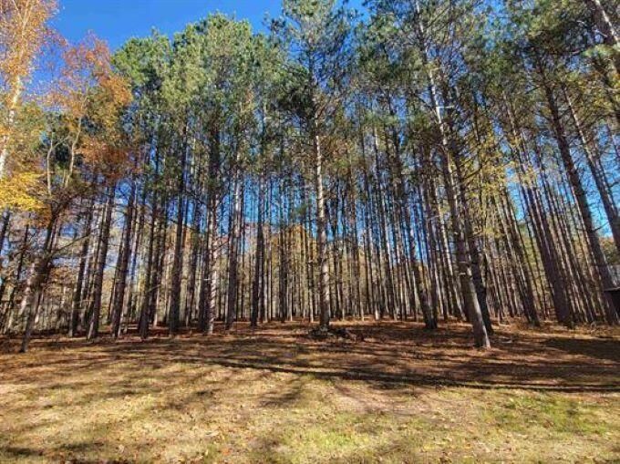 Property Photo:  3385 Jones  MI 48612 